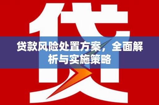 武安贷款风险处置方案，全面解析与实施策略