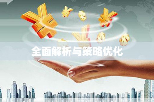 武安全面解析与策略优化