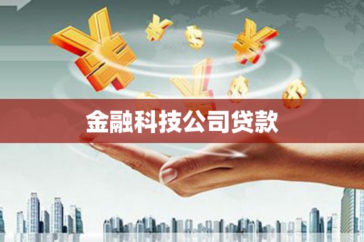 武安金融科技公司贷款