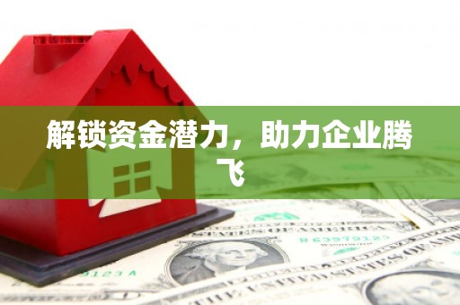 武安解锁资金潜力，助力企业腾飞