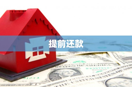 武安提前还款