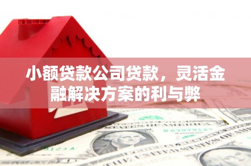武安小额贷款公司贷款，灵活金融解决方案的利与弊
