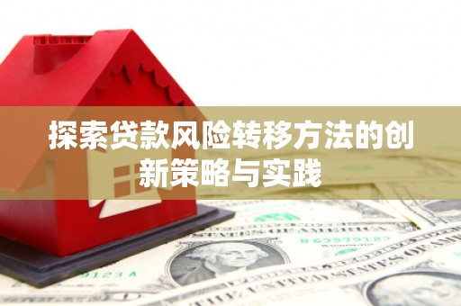 武安探索贷款风险转移方法的创新策略与实践
