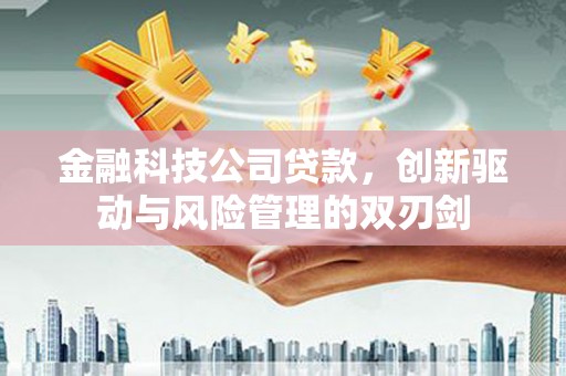 武安金融科技公司贷款，创新驱动与风险管理的双刃剑